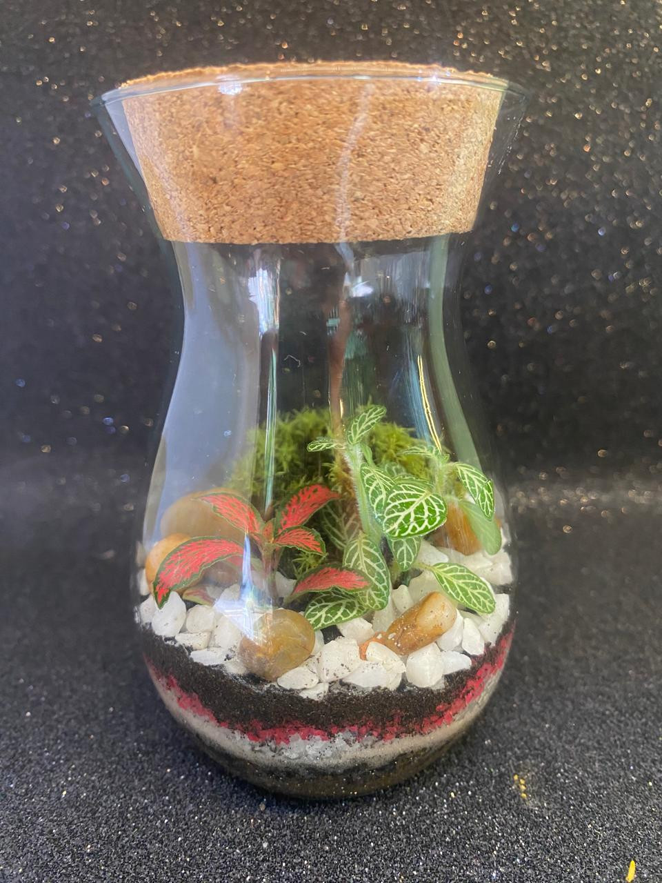 Terrário Gota 12 cm de altura x 7 cm de largura