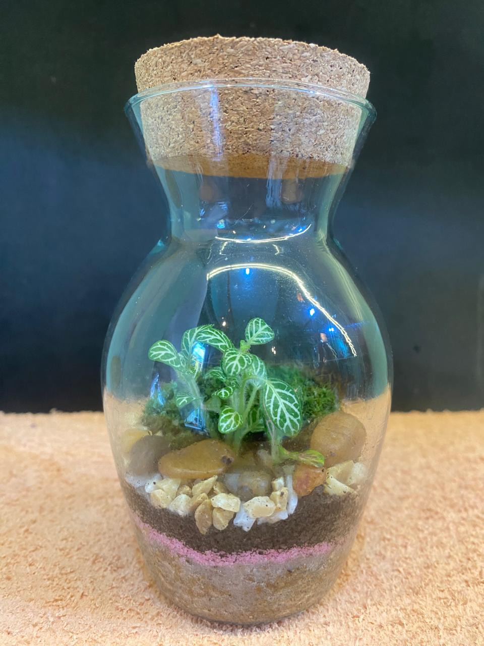 Terrário Mini Bujão 13 cm de altura x 7,5 de largura