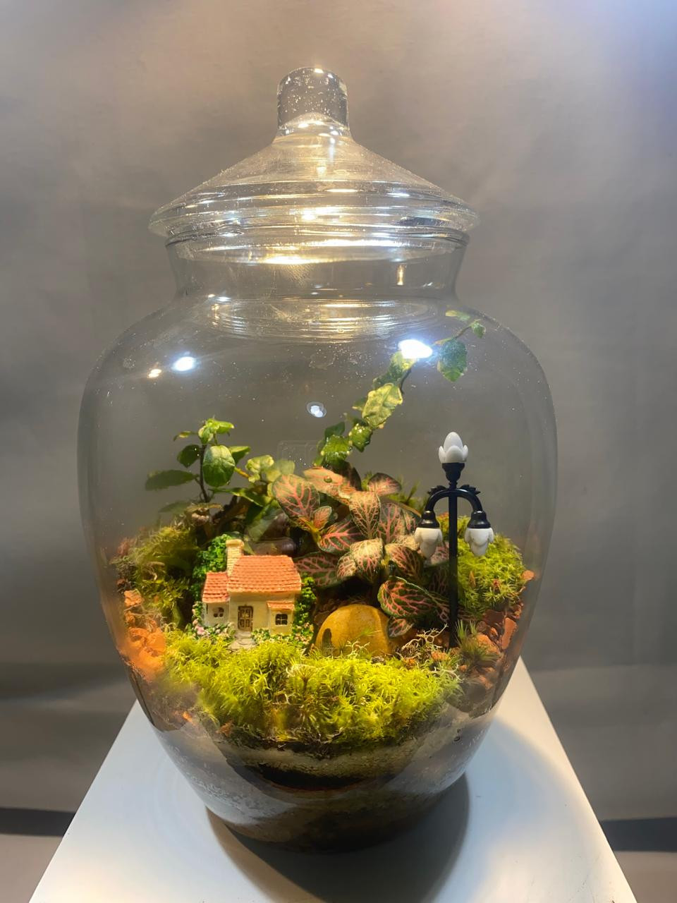 Terrário com Casinha e poste