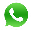 Peça seu terrário via Whatsapp