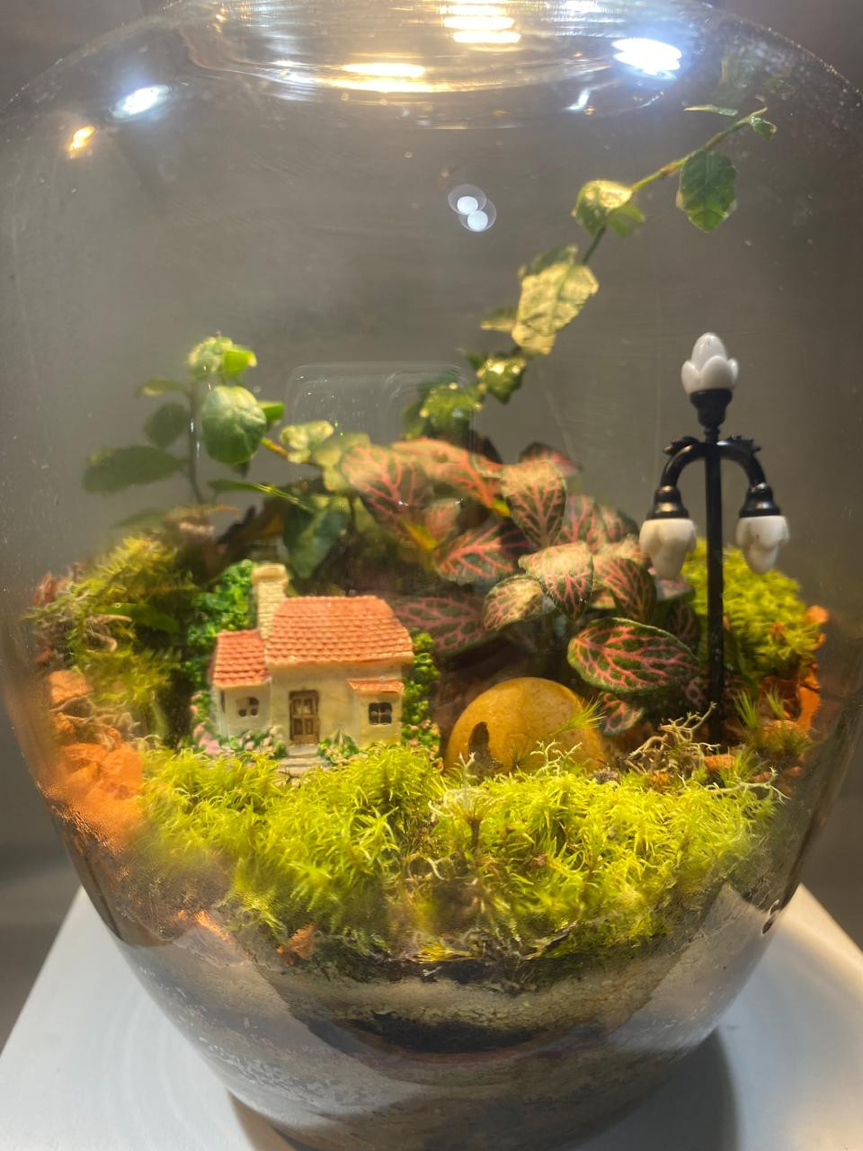 Terrário com Casinha e poste