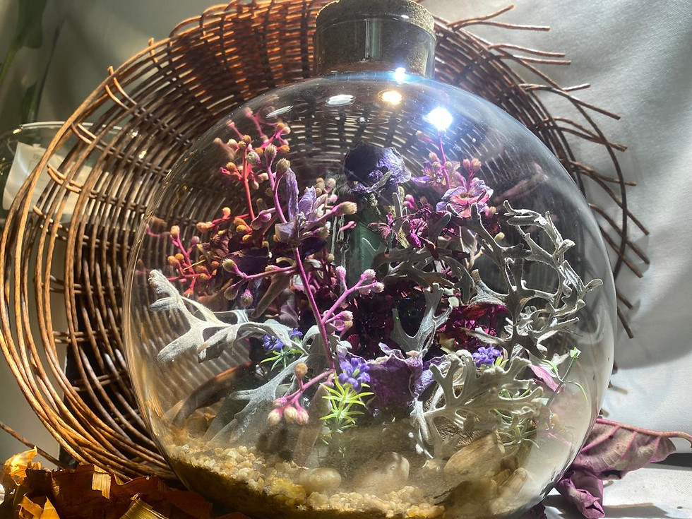 Arranjo de flores preservadas no vidro