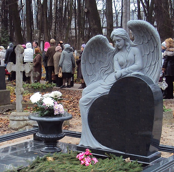 Edited Image 2016-03-27 16-57-59