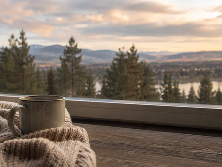 a quiet home interior with soft morning light, a window looking out over a hazy landscape, or a subtle outdoor scene after a storm or wildfire