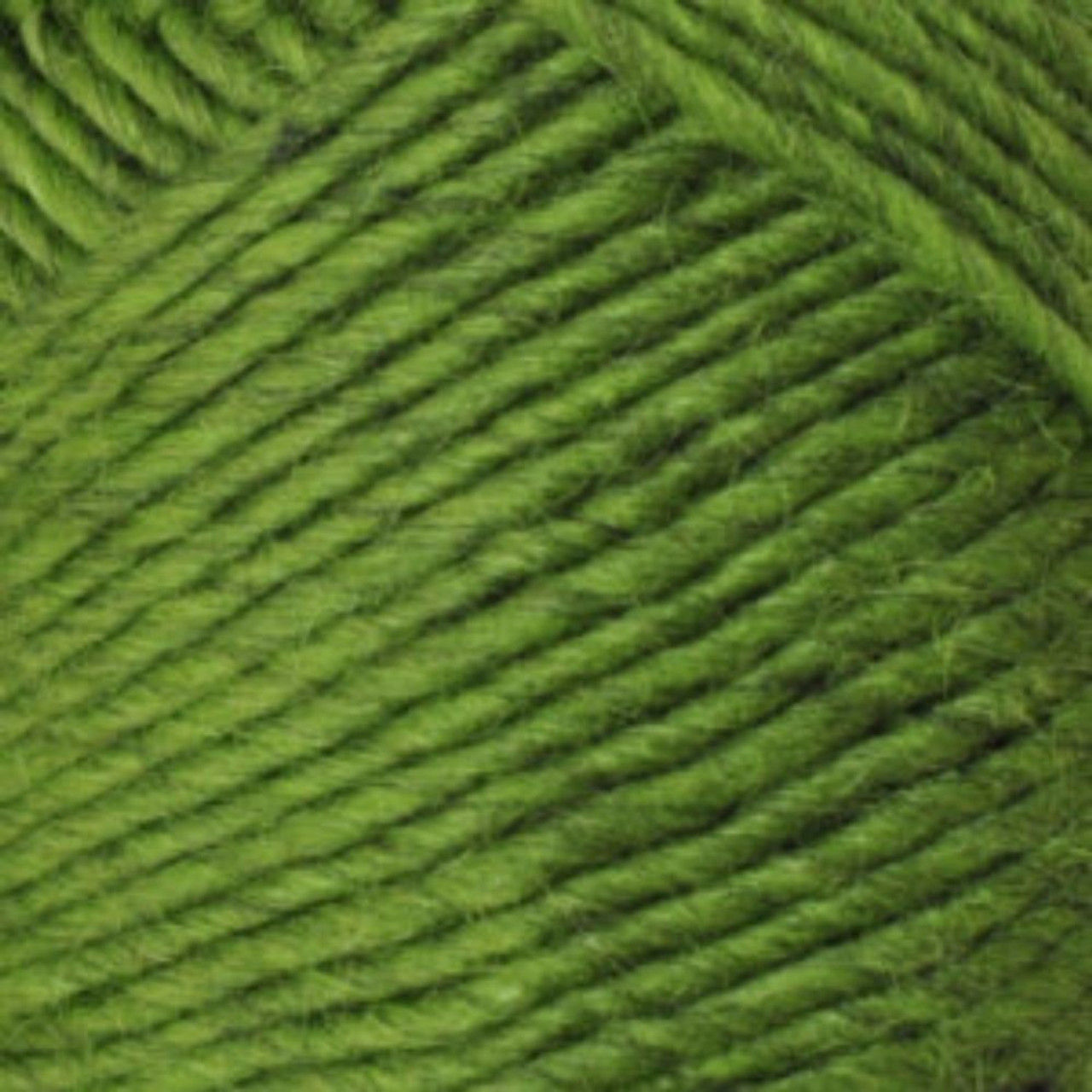 Lambs Pride Worsted Kiwi