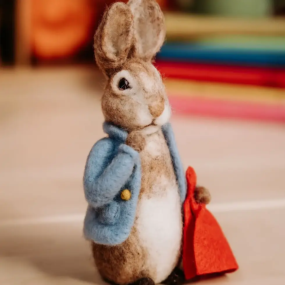 Thumbnail: Beatrix Potter - Peter Rabbit and His Pocket Handkerchief