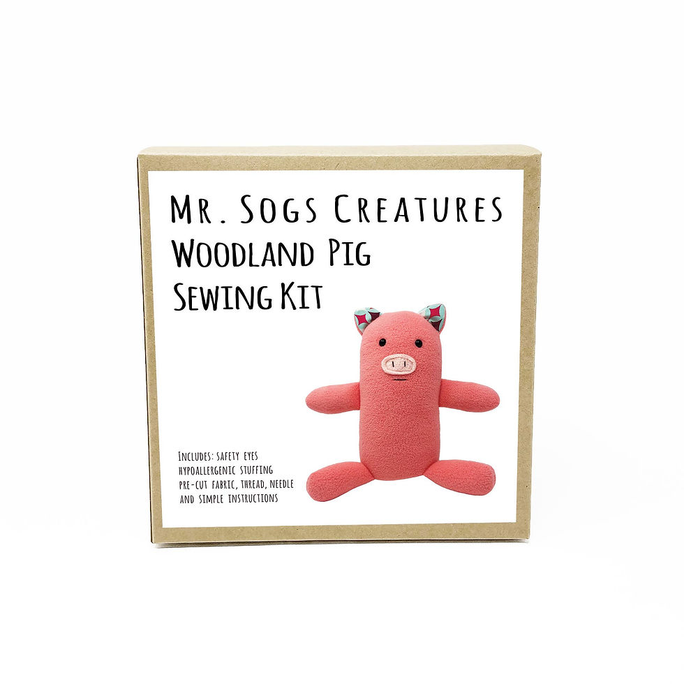 Woodland Creature DIY Sewing Kit