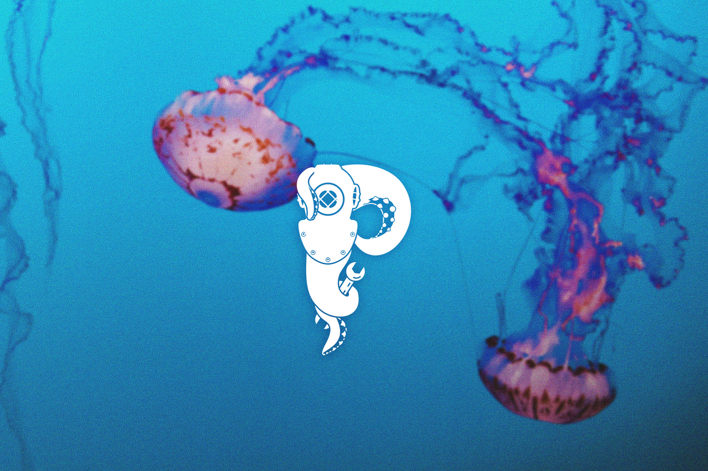 Penninsula Dive Services