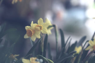 Laying the bricks to build a new foundation from the start