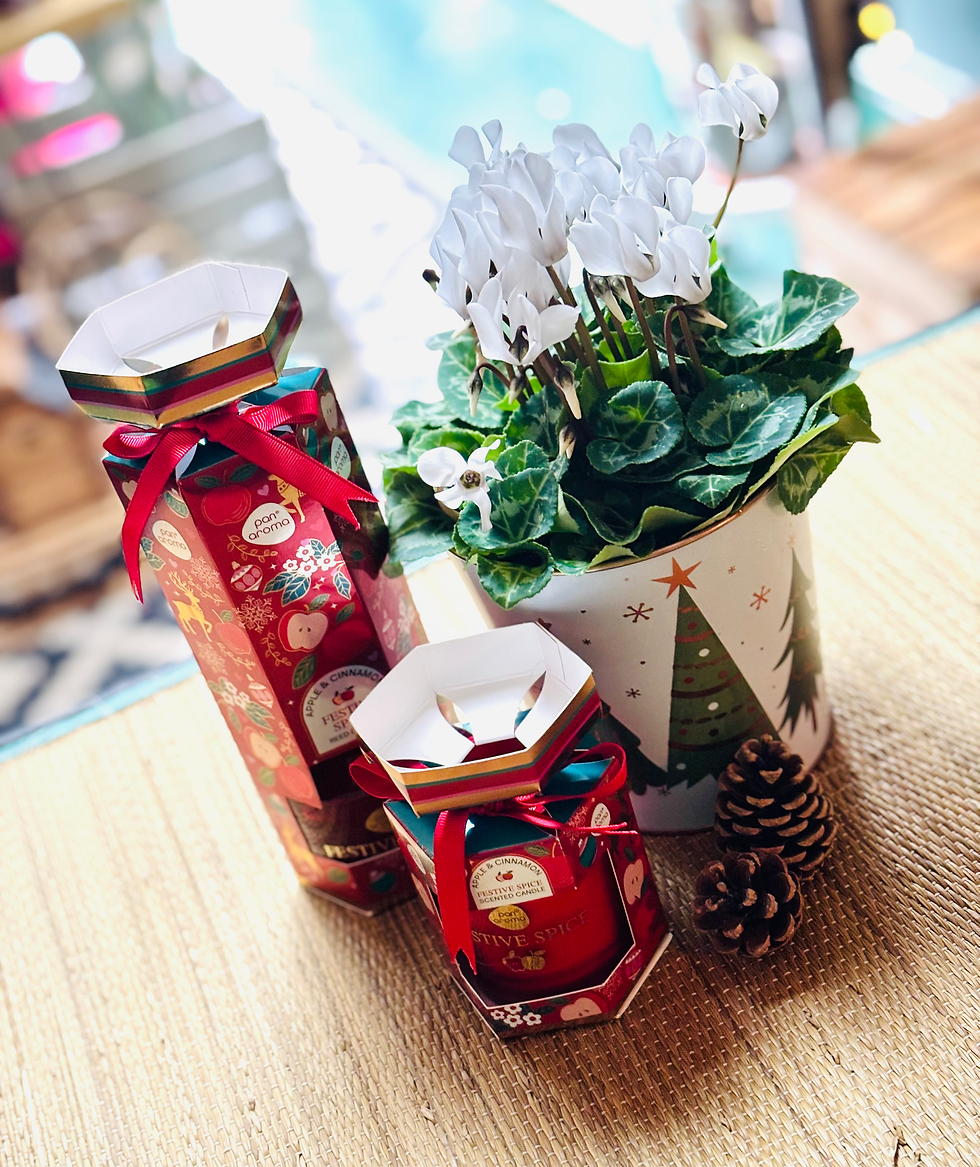 Thumbnail: Christmas Festive Spice Trug