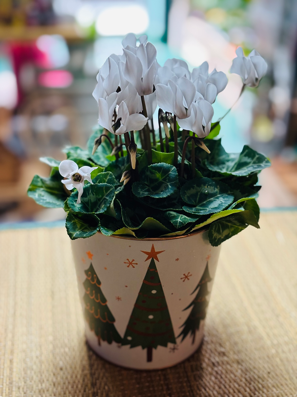 Thumbnail: Christmas Festive Spice Trug