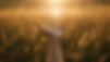 Hopeful hand reaching light in field.jpg