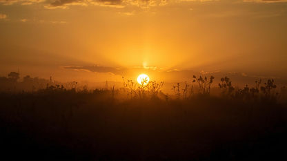 symbolic harvest dawn for hope emerging from oppression.jpg