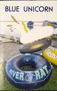 Blue Unicorn cover.jpg