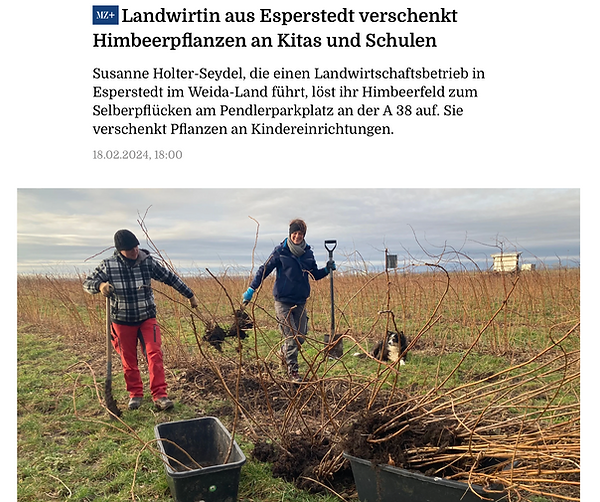 Himbeerpflanze verschenkt.png
