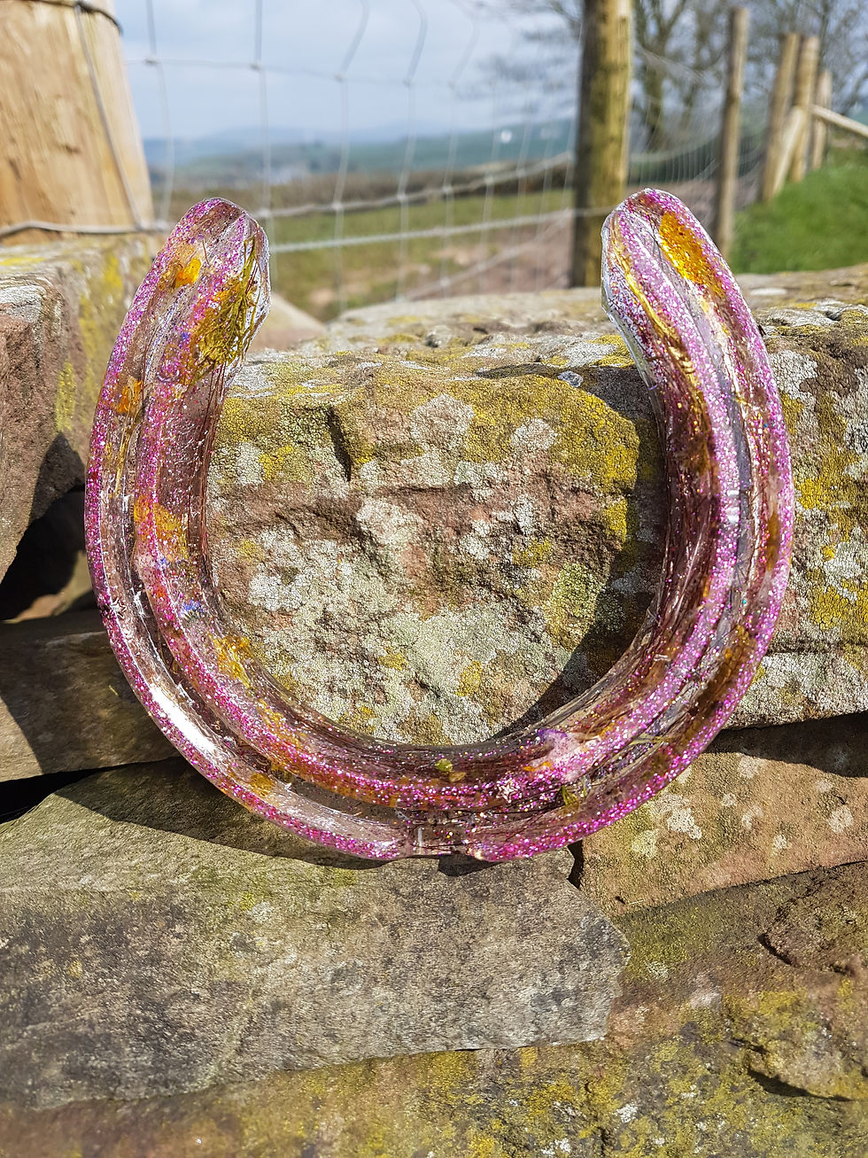Thumbnail: Encapsulated horsehair shoes