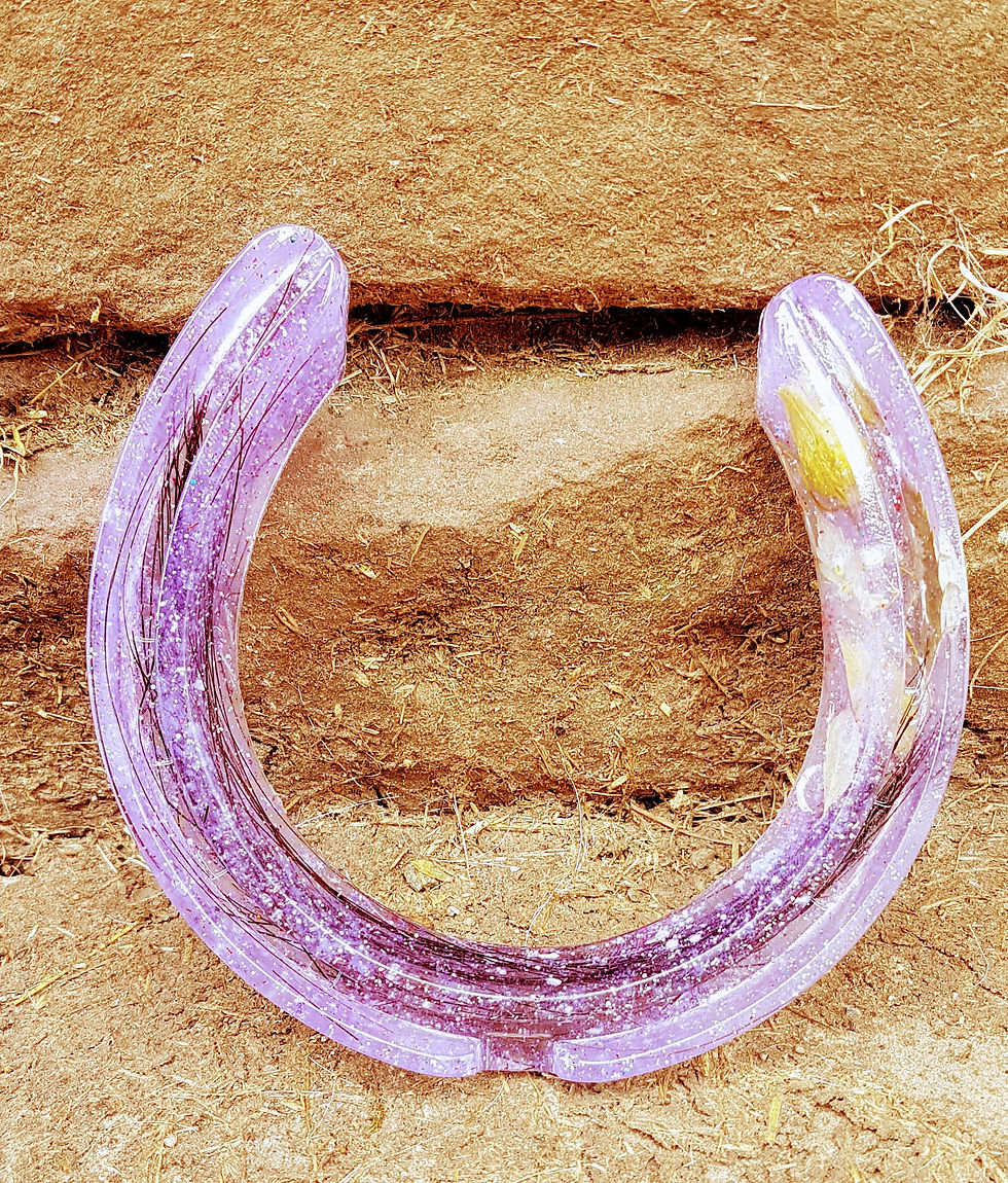 Thumbnail: Encapsulated horsehair shoes