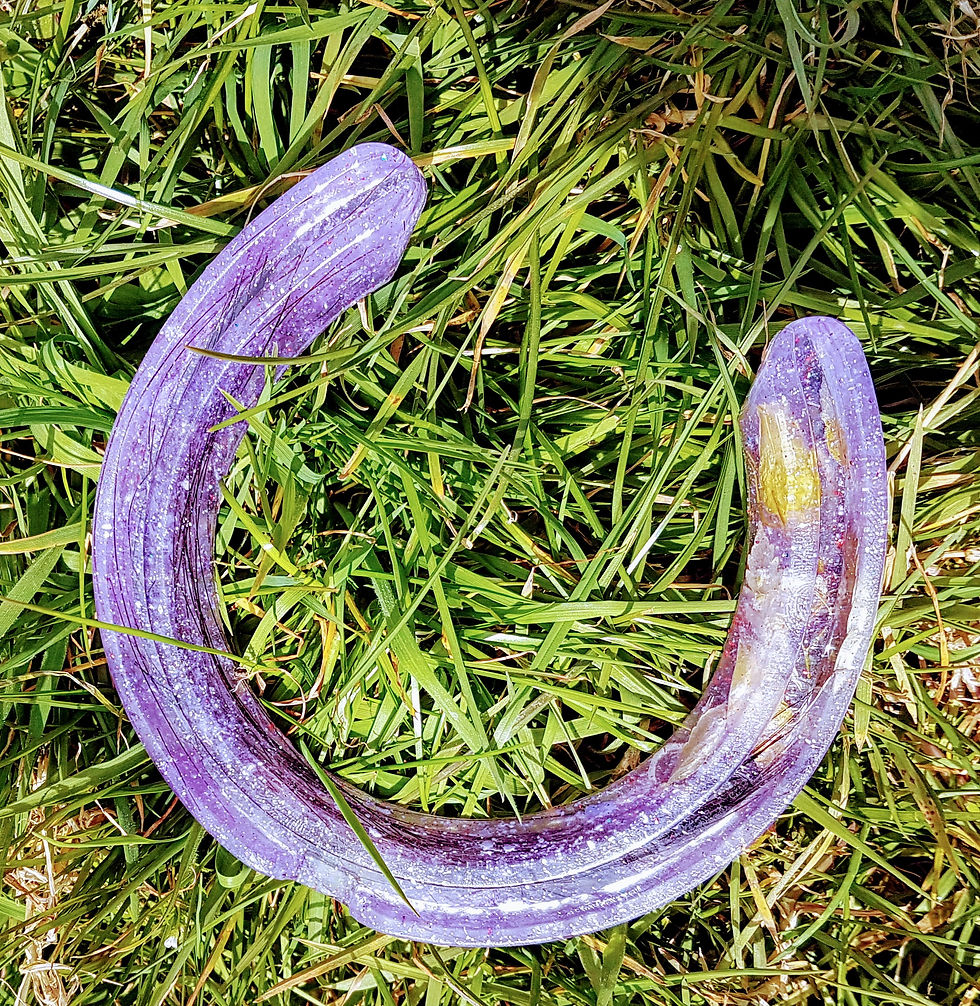 Thumbnail: Encapsulated horsehair shoes