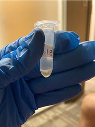 ISF_vial.jpg