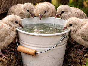 Open-handed Receptivity