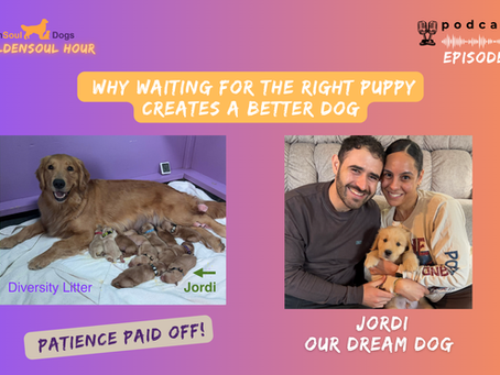The Journey to Puppy Parenthood: Patience and Preparation