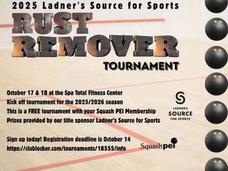 Ladner's Source for Sports Rust Remover