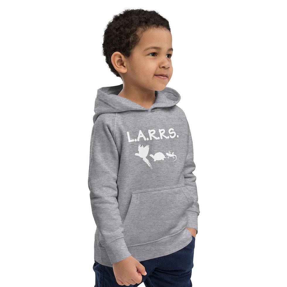 Thumbnail: Kids eco hoodie