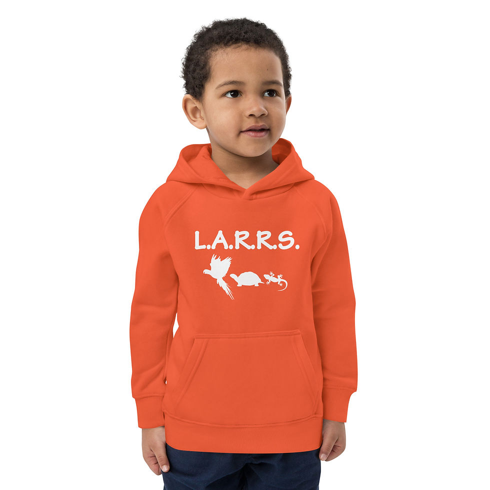 Thumbnail: Kids eco hoodie