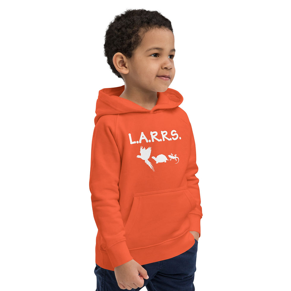 Thumbnail: Kids eco hoodie