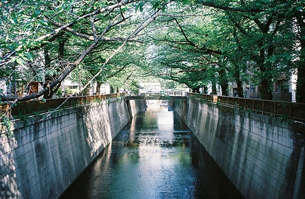 22613045_s.jpg
