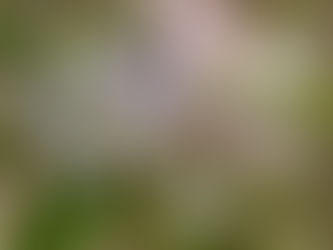 Tuesday You Start Menopause (The Cancer Trip)