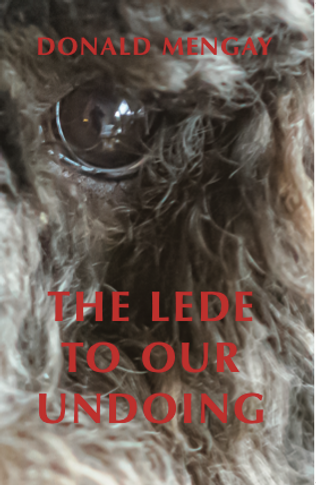 The Lede Cover.png