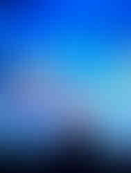 Finding Nemo show at Disney's Animal Kingdom