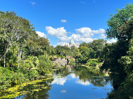 Animal Kingdom: Ride-Free Options