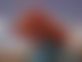 Bir eldivenin içinden bakmak