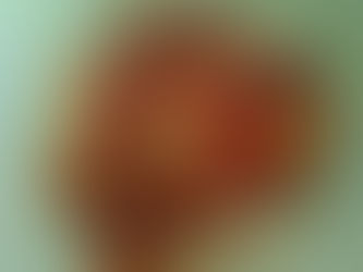 Slow Cooker Beef Stew