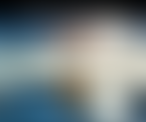 Do you have a Winner's MINDSET?