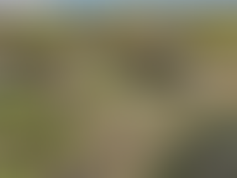 Read the change… Part 3: What Humans Want