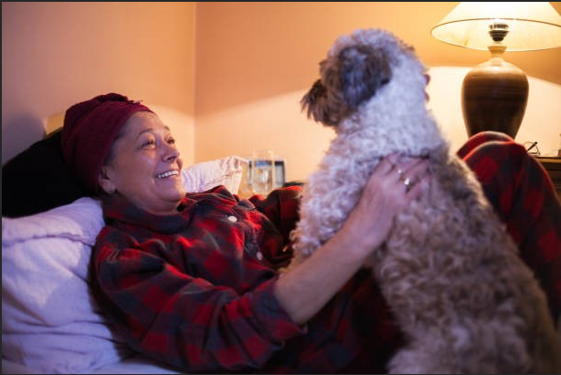 Overnight Pet Care