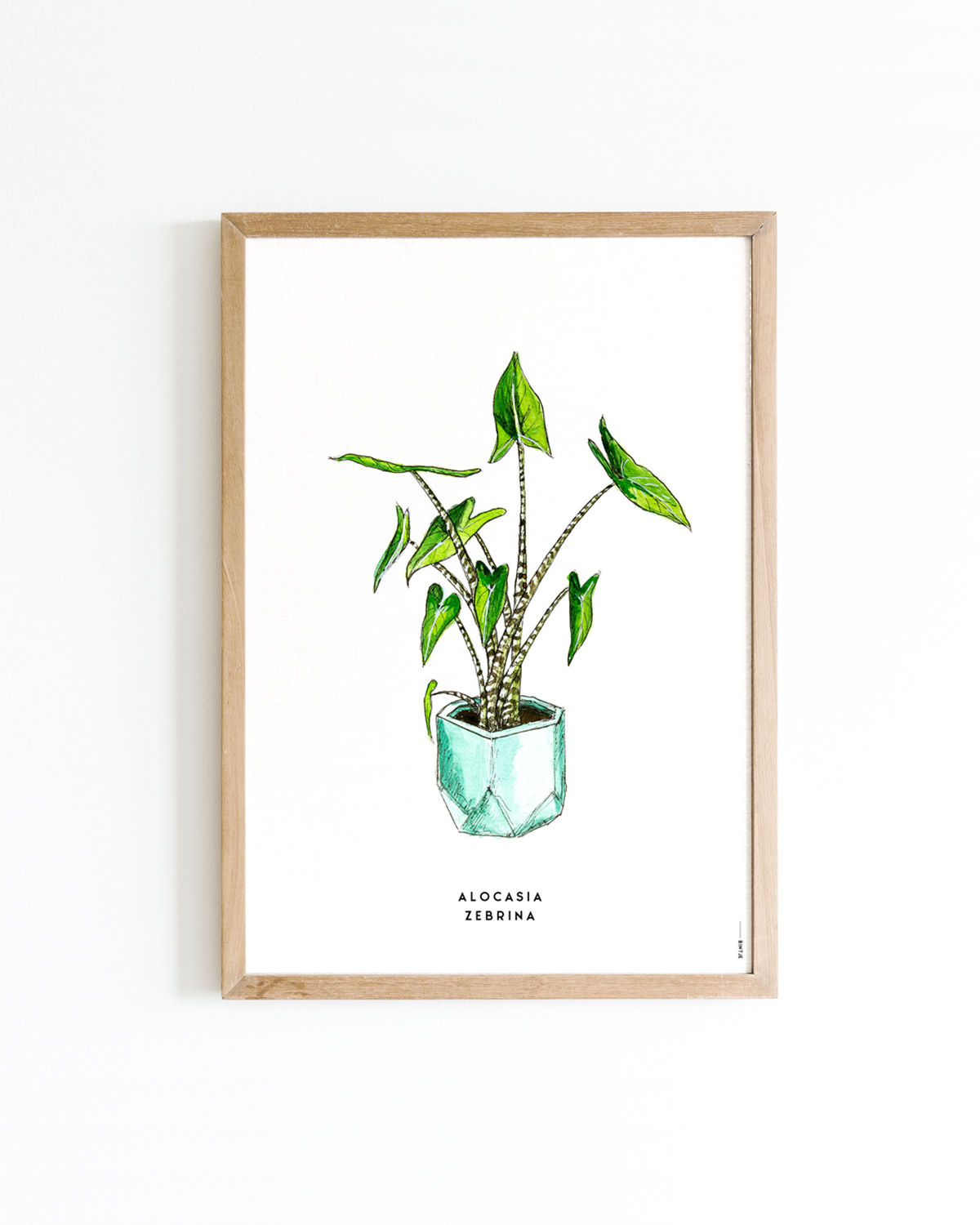 Poster Plant Alocasia A4