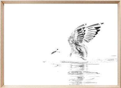 Samothrace