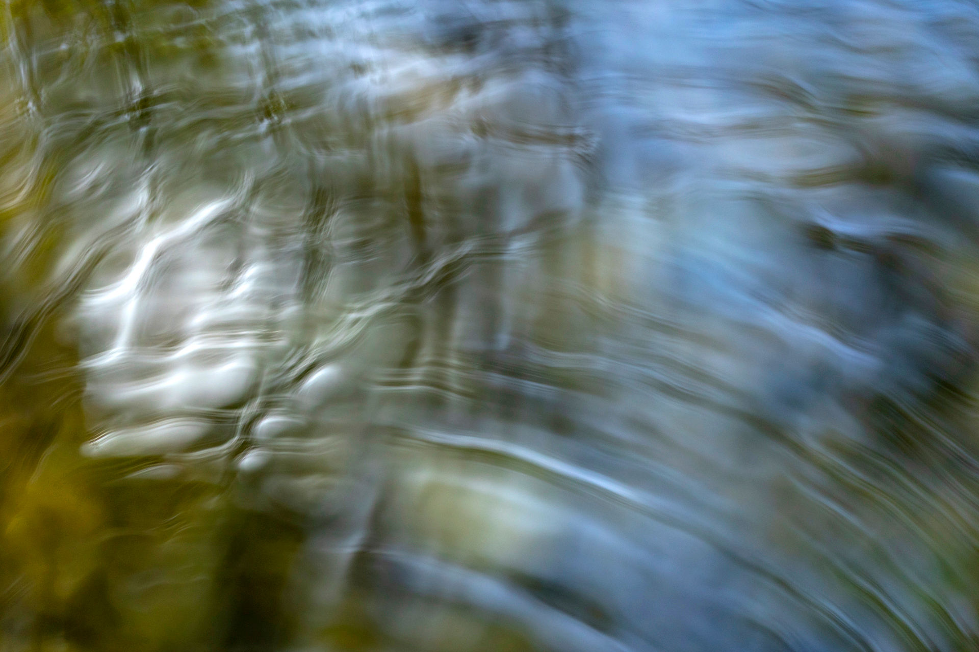 Dans l'intimité de l'eau