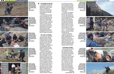 image et nature-02.jpg