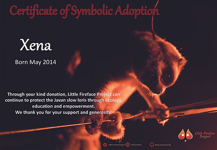 Little Fireface Project adoption