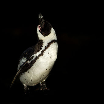 Sur la piste de danse
