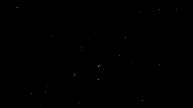理芽_sns.gif