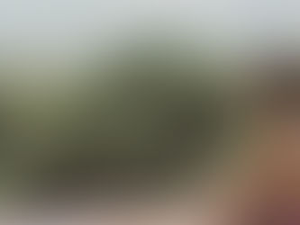 The Day My Career Ended (Even Though I Didn’t Choose It)