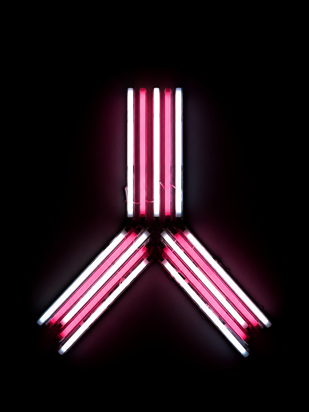 A fluorescent light installation of alternating pink and white tubes