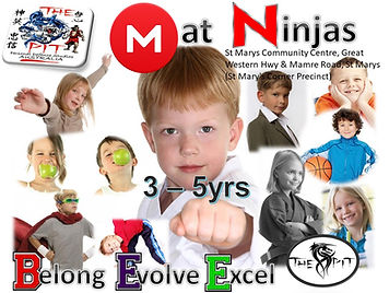 MatNinjasPoster24 St marys.jpg