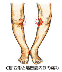 shorei01_01_02.gif